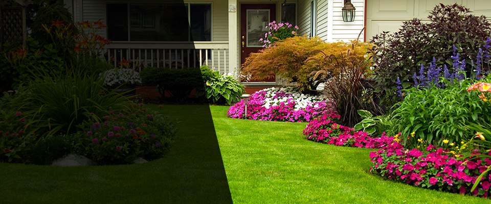 Jay Landscapers